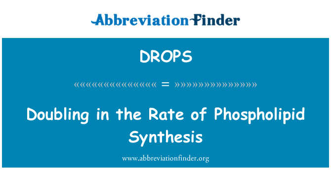 DROPS: Doubling in the Rate of Phospholipid Synthesis