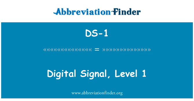 DS-1: Digital Signal, nivå 1