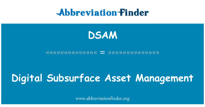 DSAM: Digital Subsurface Asset Management