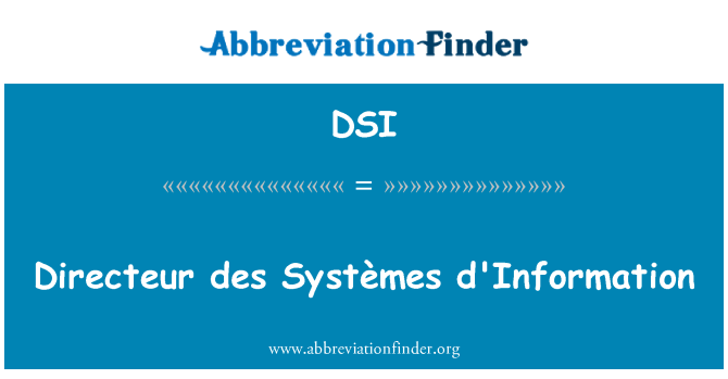 DSI: D'Information Directeur des Systèmes