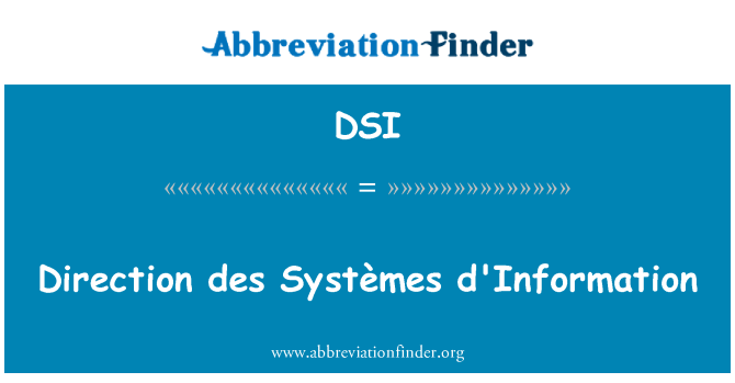 DSI: 方向デ ・ システムズ d'Information