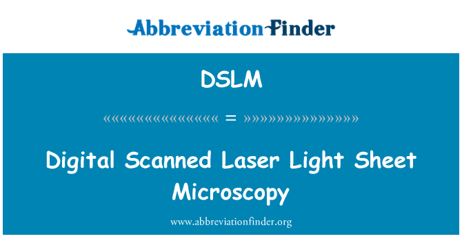 DSLM: דיגיטלי שנסרקו מיקרוסקופ אור גיליון לייזר