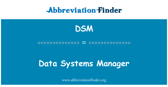 DSM: Data Systems Manager