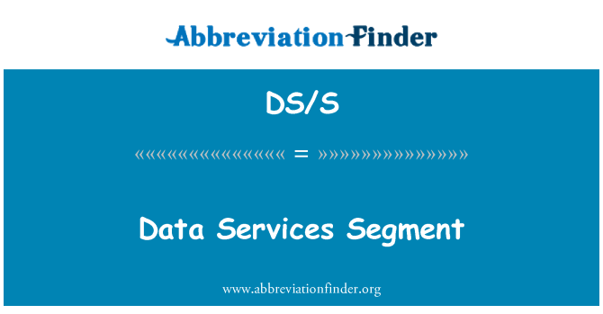 DS/S: Segment datových služeb