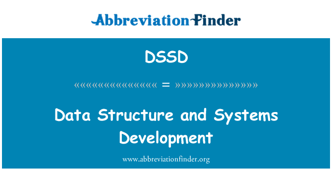 DSSD: Datová struktura a vývoj systémů