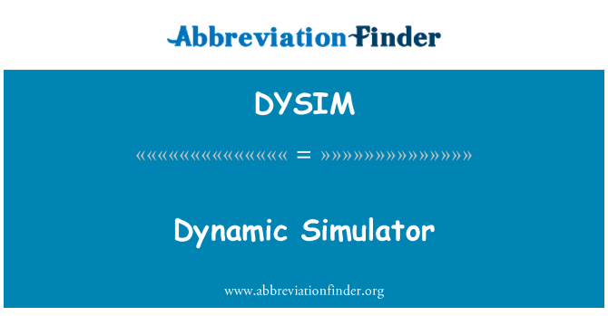 DYSIM: Dynamický simulátor