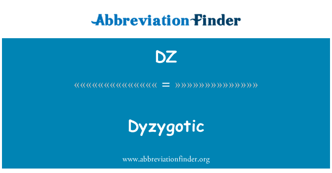 DZ: Dyzygotic