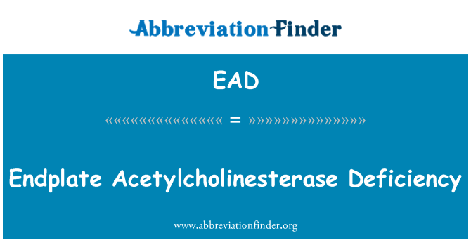 EAD: ขาด Endplate Acetylcholinesterase