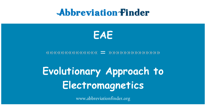 EAE: Evoluční přístup k elektromagnetické pole