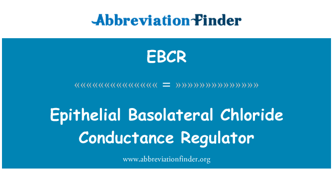 EBCR: ควบคุมการต้านทานคลอไรด์ Basolateral epithelial