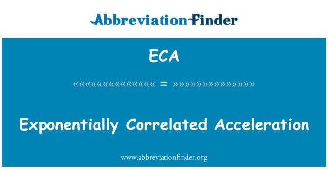 ECA: 指數相關的加速度