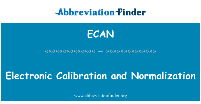 ECAN: 电子校准和归一化