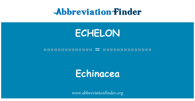 ECHELON: 에키네시아