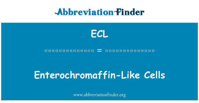 ECL: Enterochromaffinních jako buňky
