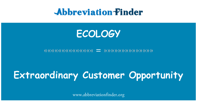 ECOLOGY: Ekstraordinære kundemuligheter