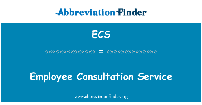 ECS: Serviciu de consultare angajat