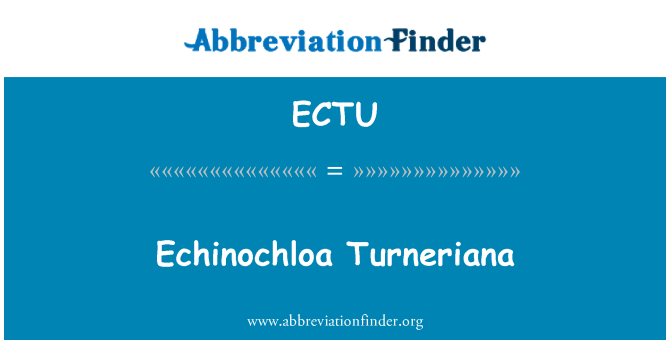 ECTU: Ježatka Turneriana