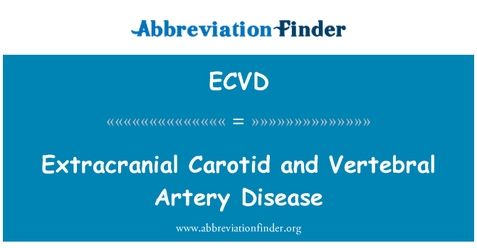 ECVD: 颅外颈动脉和椎动脉疾病