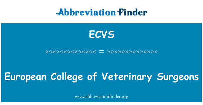 ECVS: Colegiul European de medicii veterinari