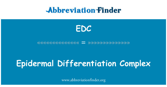 EDC: Epidermas diferenciācijas komplekss