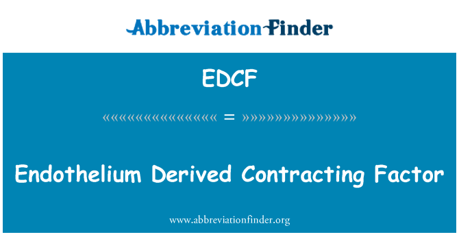 EDCF: 内皮源性收缩因子