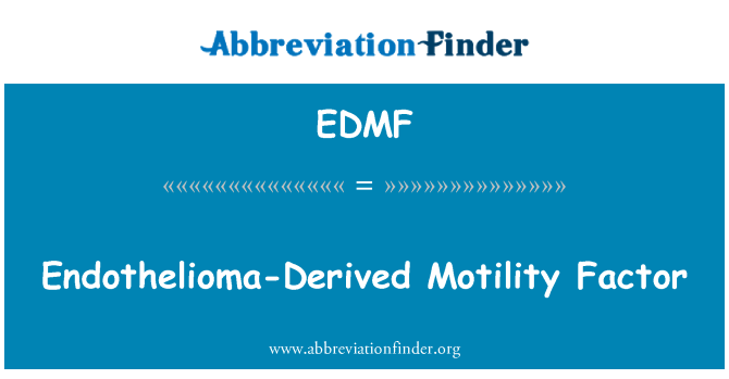EDMF: Endothelioma saadud motoorikat tegur