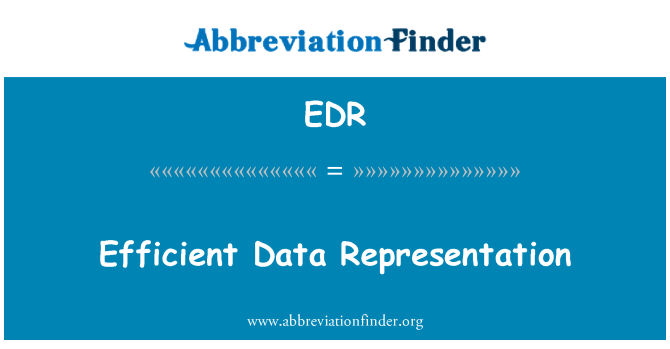 EDR: Efficient Data Representation