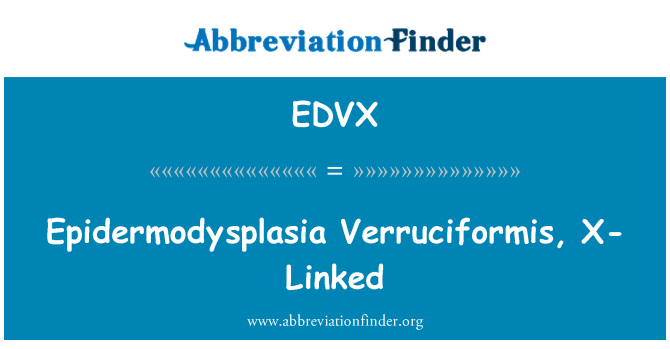 EDVX: Epidermodysplasia Verruciformis, X-chromosomale