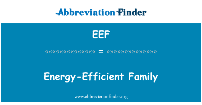 EEF: Energieeffiziente Familie