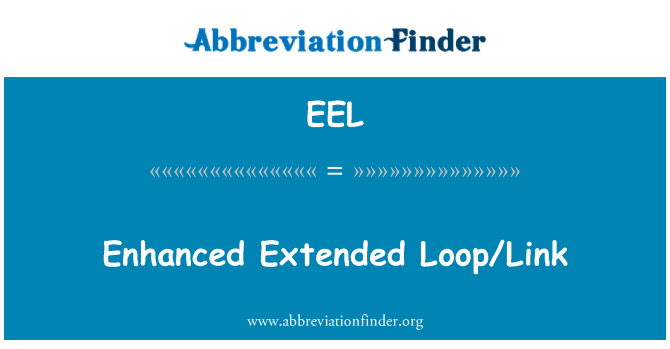 EEL: Enhanced Extended Loop/Link