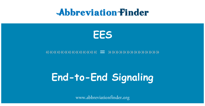 EES: 端到端信号