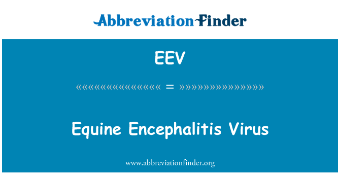 EEV: Pferdeenzephalomyelitis