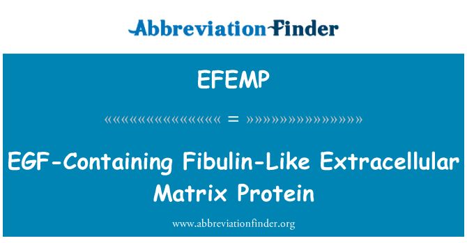 EFEMP: EGF-obsahující Fibulin jako extracelulární Matrix Protein