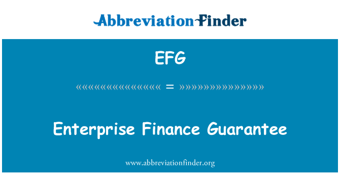 EFG: Гарантии финансирования предприятия