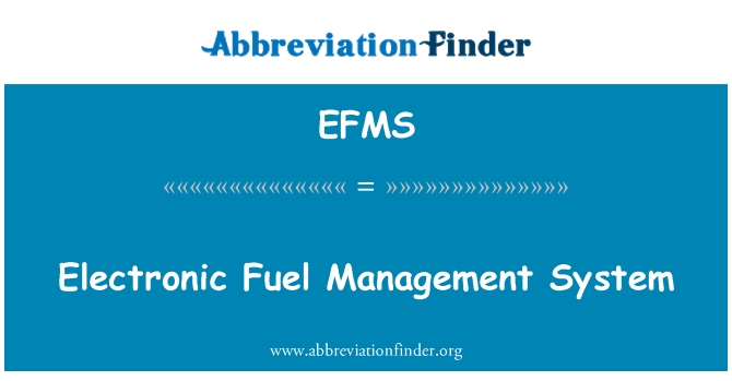 EFMS: Sistemului de Management electronice de combustibil