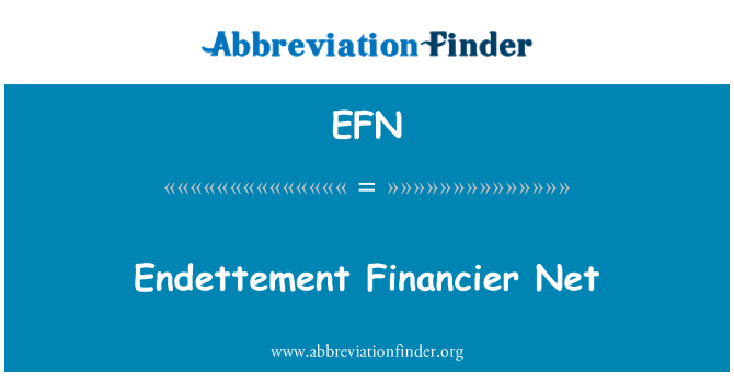 EFN: Endettement Financier neto