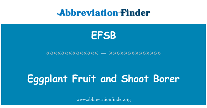 EFSB: Sur fwi nou yo ak tire sonde