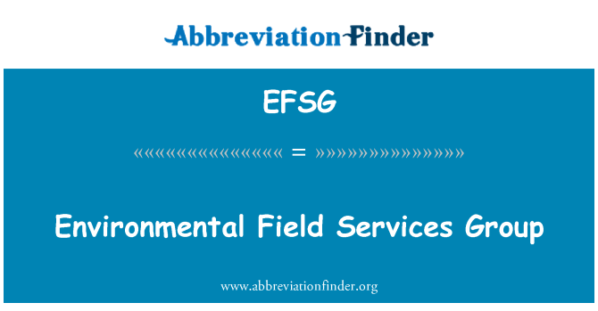 EFSG: Groupe de Services domaine environnemental