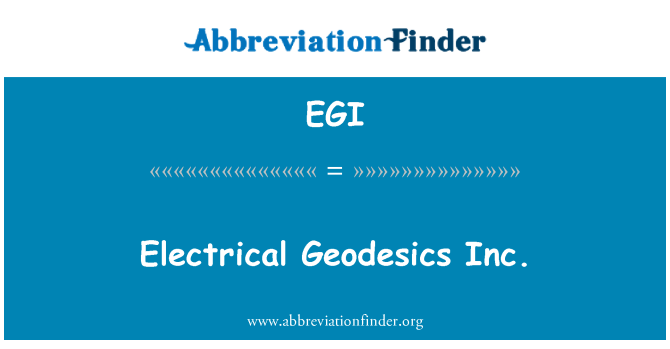 EGI: Elektriska Geodesics Inc.