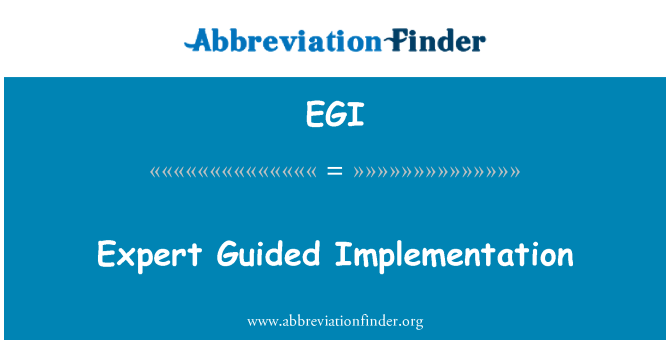 EGI: Arbenigwr llywio gweithredu