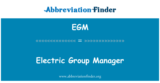 EGM: Електрически група мениджър