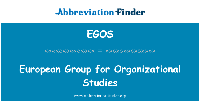 EGOS: European Group for Organizational Studies