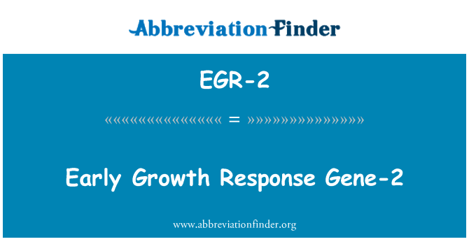 EGR-2: ابتدائی ترقی کا جواب جین-2