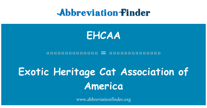 EHCAA: Εξωτικά κληρονομιάς σύνδεσης γάτα της Αμερικής