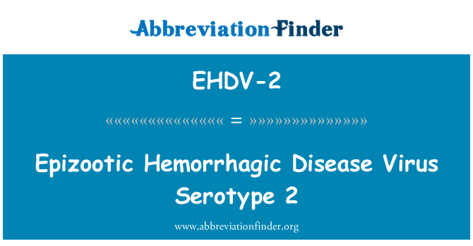 EHDV-2: Epizootické hemoragické onemocnění viru sérotypu 2