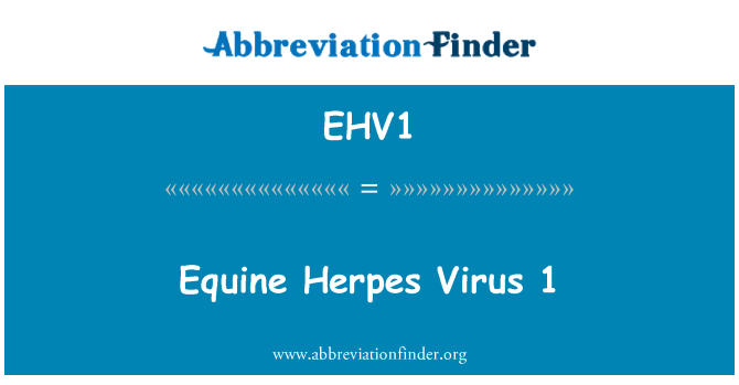 EHV1: ویروس تب خال اسب 1