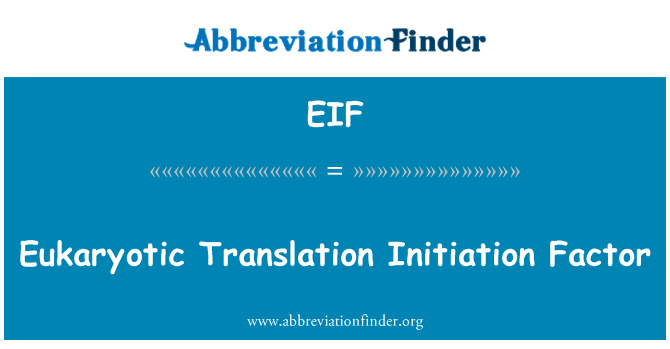 EIF: Eukaryotní překlad iniciační faktor