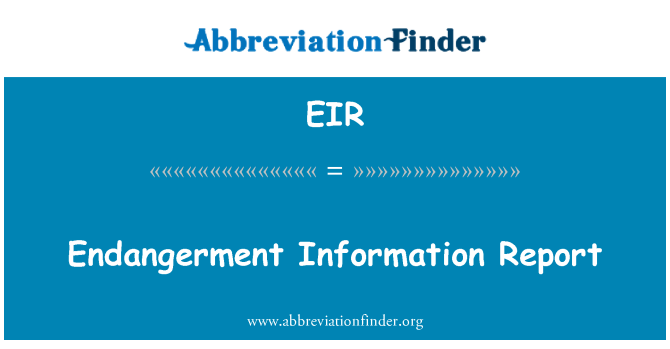 EIR: Endangerment enfòmasyon rapò