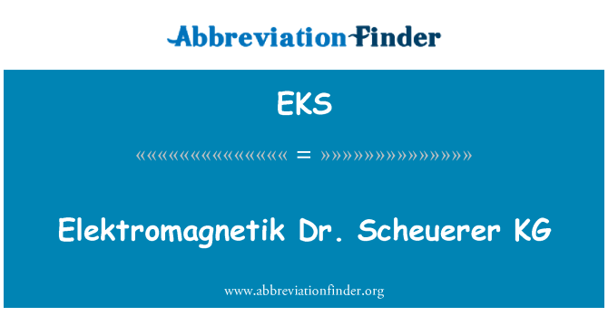 EKS: Elektromagnetik Dr Scheuerer KG