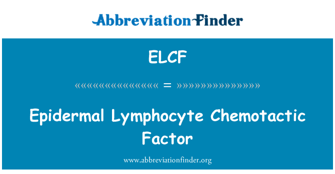ELCF: Epidermalna limfocitov Chemotactic dejavnik
